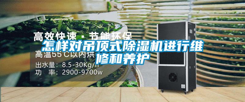 怎樣對吊頂式91看片在线下载機進行維修和養護