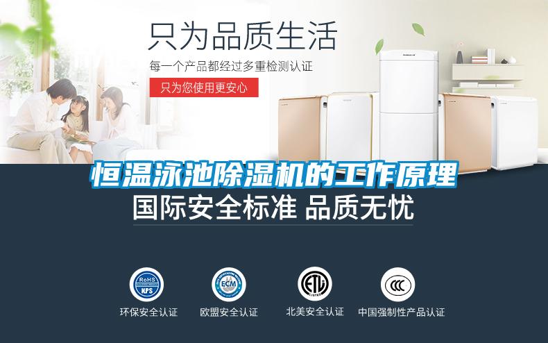 恒溫泳池91看片在线下载機的工作原理