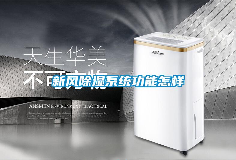 新風91看片在线下载係統功能怎樣