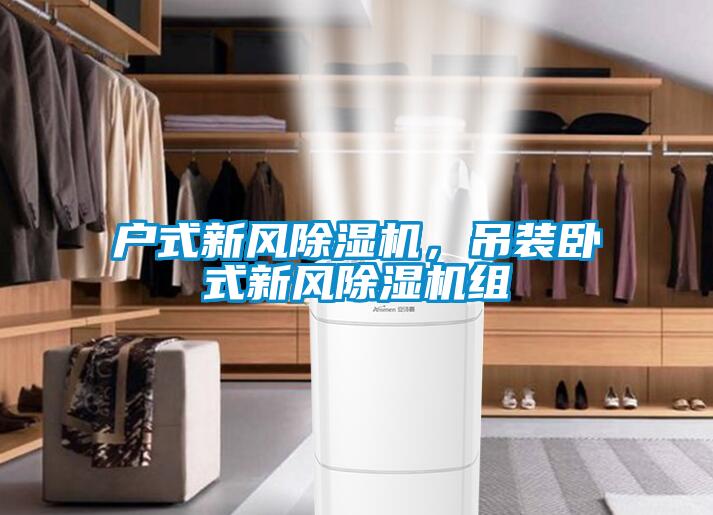 戶式新風91看片在线下载機，吊裝臥式新風91看片在线下载機組