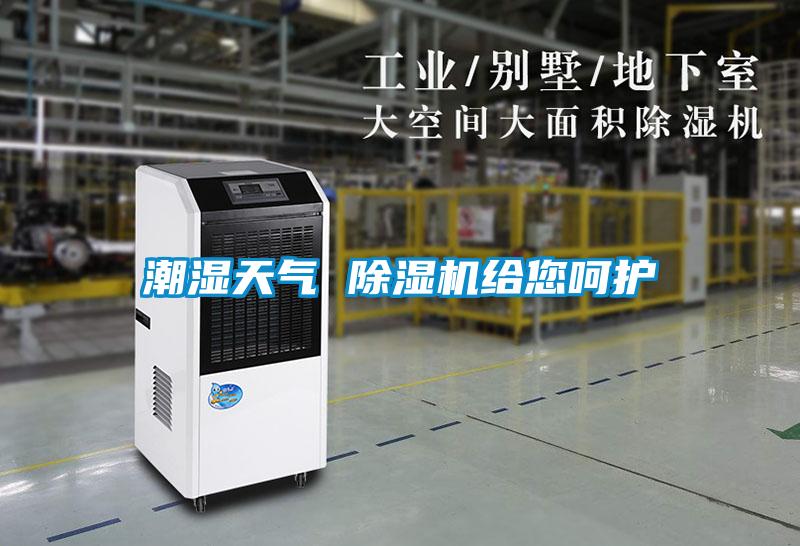 潮濕天氣 91看片在线下载機給您嗬護