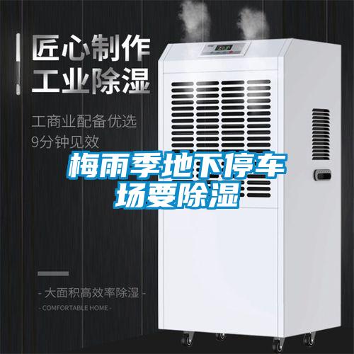 梅雨季地下停車場要91看片在线下载