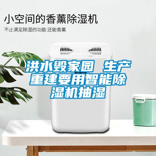 洪水毀家園 生產重建要用智能91看片在线下载機抽濕