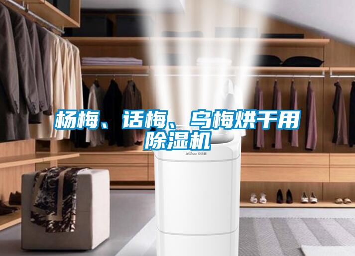 楊梅、話梅、烏梅烘幹用91看片在线下载機