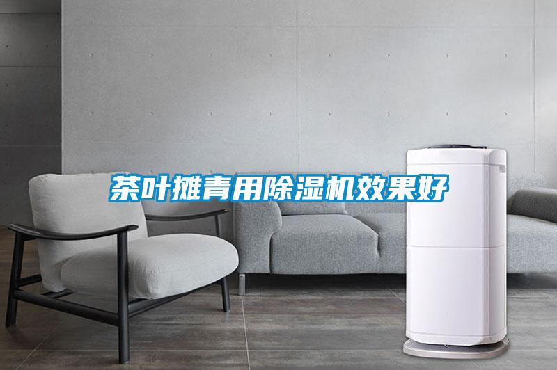 茶葉攤青用91看片在线下载機效果好