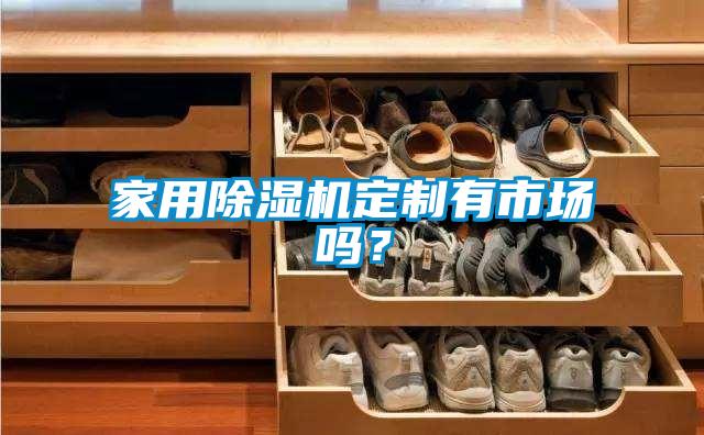 家用91看片在线下载機定製有市場嗎？