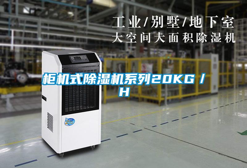 櫃機式91看片在线下载機係列20KG／H