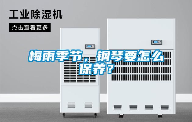 梅雨季節，鋼琴要怎麽保養？