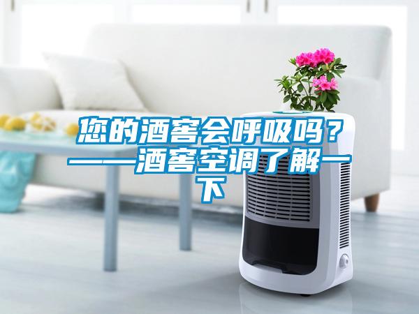 您的酒窖會呼吸嗎？——酒窖空調了解一下