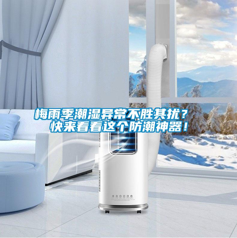 梅雨季潮濕異常不勝其擾？ 快來看看這個防潮神器！