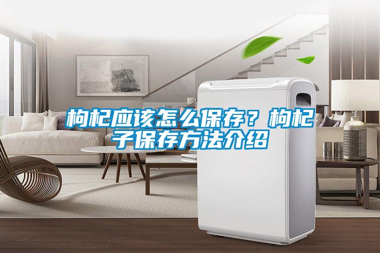 枸杞應該怎麽保存？枸杞子保存方法介紹
