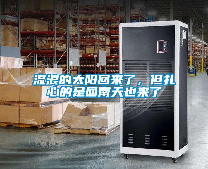 流浪的太陽回來了，但紮心的是回南天也來了