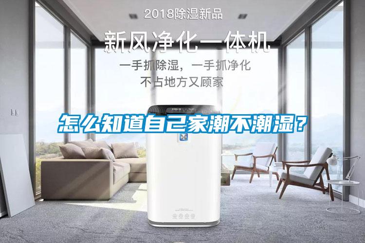 怎麽知道自己家潮不潮濕？