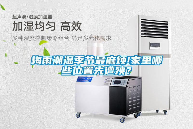 梅雨潮濕季節最麻煩!家裏哪些位置先遭殃？