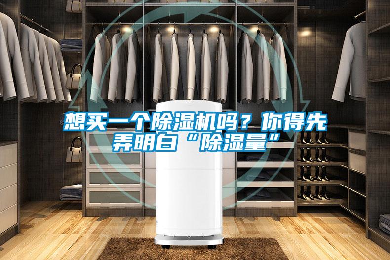 想買一個91看片在线下载機嗎？你得先弄明白“91看片在线下载量”
