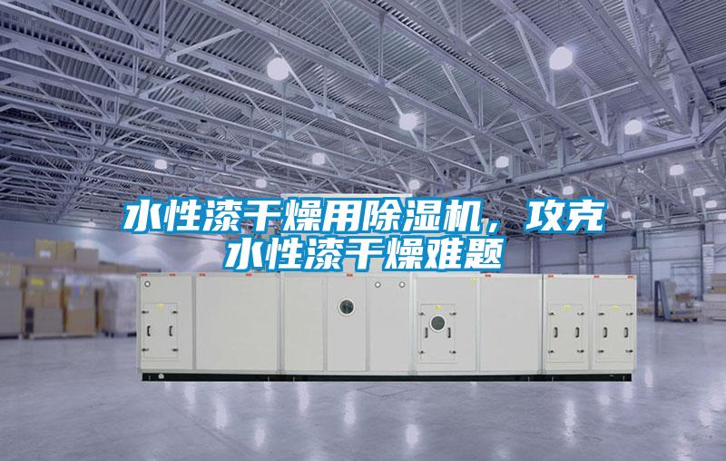 水性漆幹燥用91看片在线下载機，攻克水性漆幹燥難題