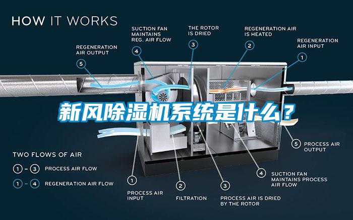 新風91看片在线下载機係統是什麽？