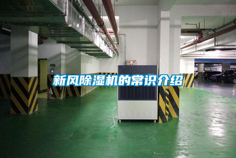 新風91看片在线下载機的常識介紹