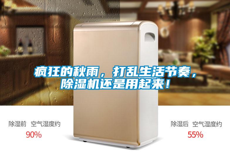 瘋狂的秋雨，打亂生活節奏，91看片在线下载機還是用起來！