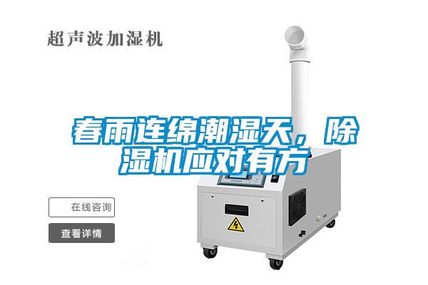 春雨連綿潮濕天，91看片在线下载機應對有方
