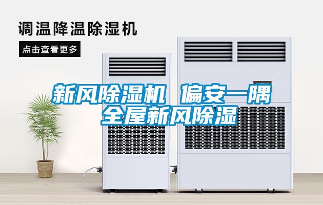 新風91看片在线下载機 偏安一隅 全屋新風91看片在线下载