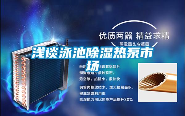 淺談泳池91看片在线下载熱泵市場