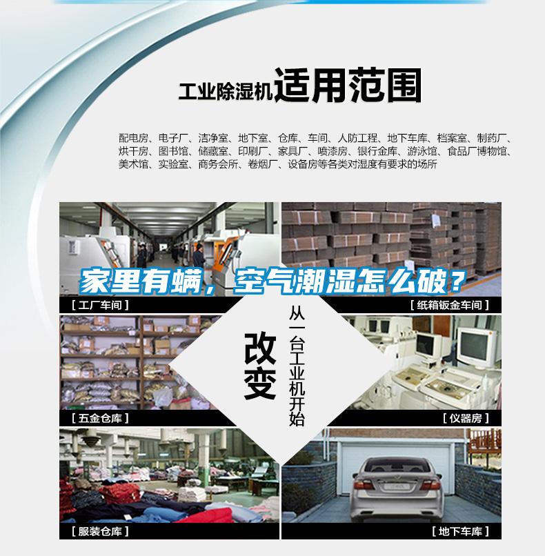 家裏有蟎，空氣潮濕怎麽破？