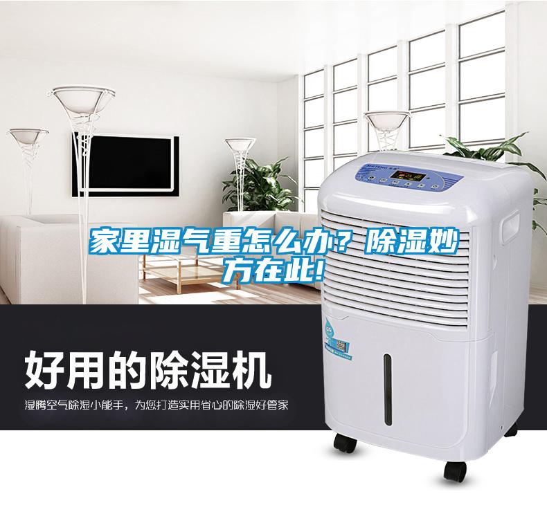 家裏濕氣重怎麽辦？91看片在线下载妙方在此!