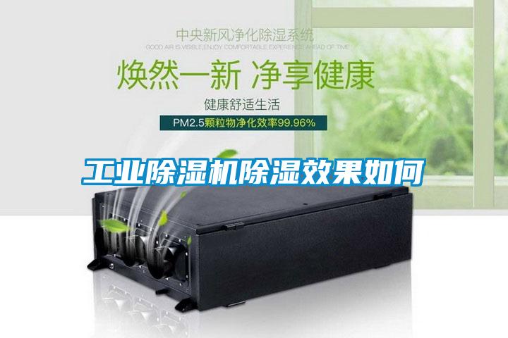 工業91看片在线下载機91看片在线下载效果如何