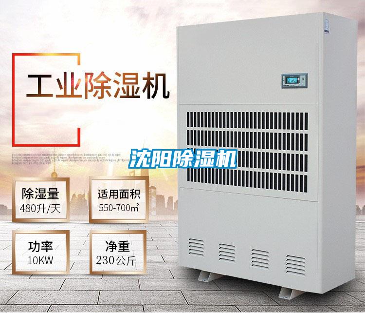 沈陽91看片在线下载機