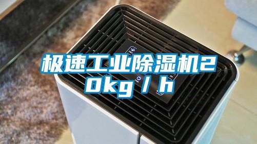 極速工業91看片在线下载機20kg／h