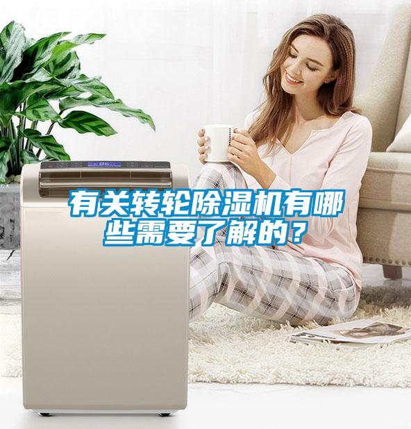 有關轉輪91看片在线下载機有哪些需要了解的？
