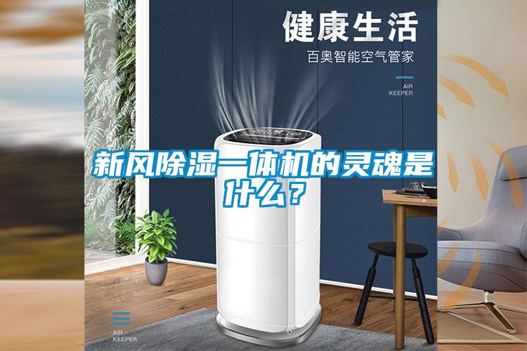 新風91看片在线下载一體機的靈魂是什麽？