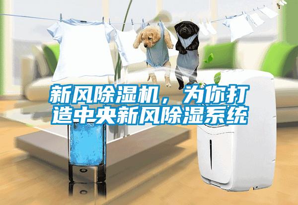 新風91看片在线下载機，為你打造中央新風91看片在线下载係統