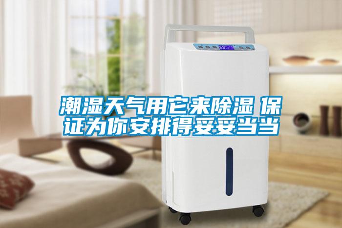 潮濕天氣用它來91看片在线下载　保證為你安排得妥妥當當