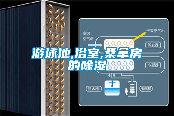 遊泳池,浴室,桑拿房的91看片在线下载