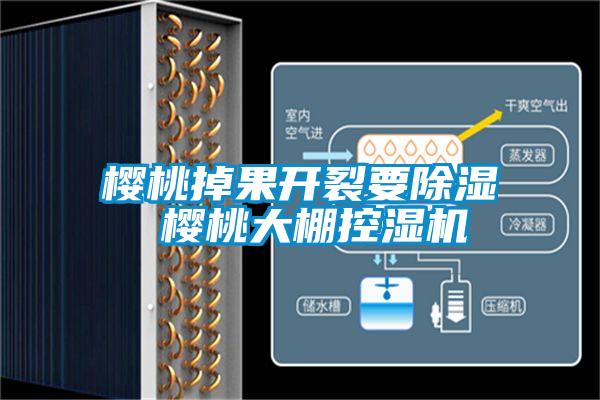 櫻桃掉果開裂要91看片在线下载 櫻桃大棚控濕機