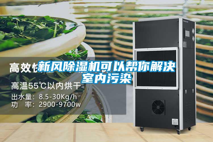新風91看片在线下载機可以幫你解決室內汙染