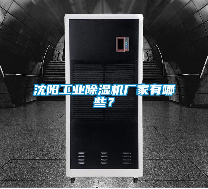 沈陽工業91看片在线下载機廠家有哪些？