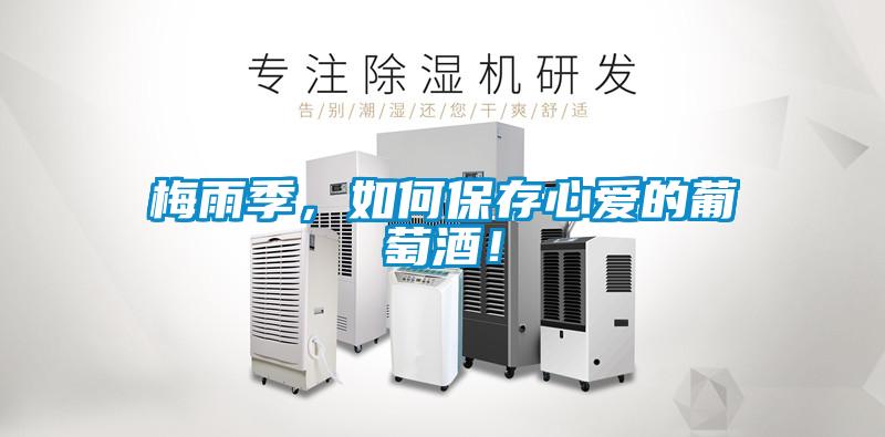 梅雨季，如何保存心愛的葡萄酒！