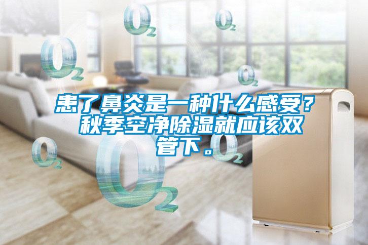 患了鼻炎是一種什麽感受？ 秋季空淨91看片在线下载就應該雙管下。