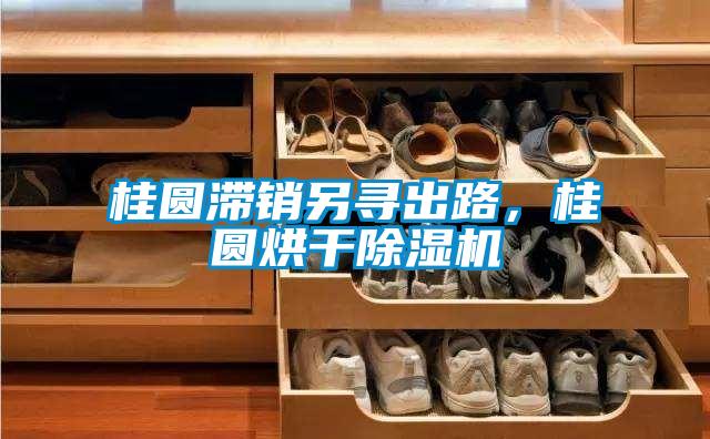 桂圓滯銷另尋出路，桂圓烘幹91看片在线下载機