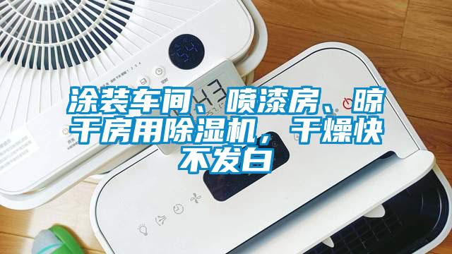 塗裝車間、噴漆房、晾幹房用91看片在线下载機，幹燥快不發白