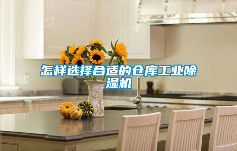 怎樣選擇合適的倉庫工業91看片在线下载機