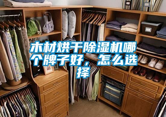 木材烘幹91看片在线下载機哪個牌子好，怎麽選擇