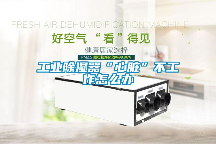 工業91看片在线下载器“心髒”不工作怎麽辦