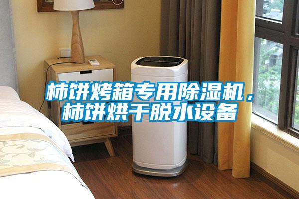 柿餅烤箱專用91看片在线下载機，柿餅烘幹脫水設備