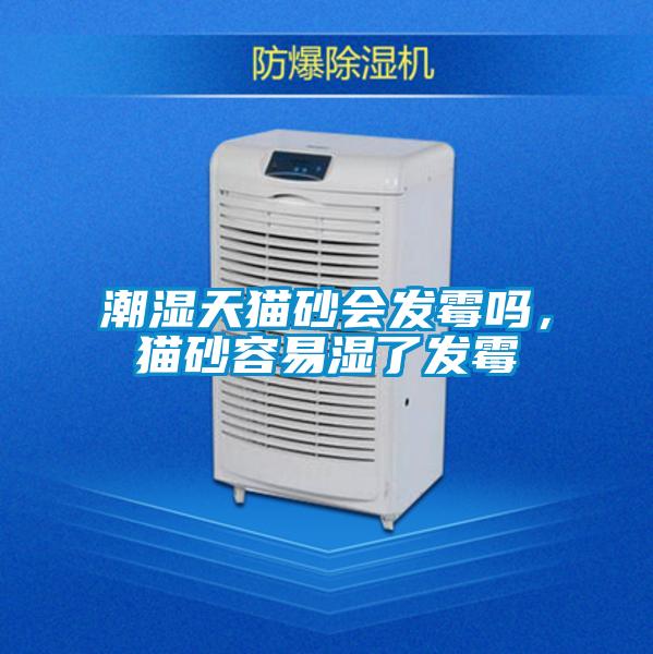 潮濕天貓砂會發黴嗎，貓砂容易濕了發黴