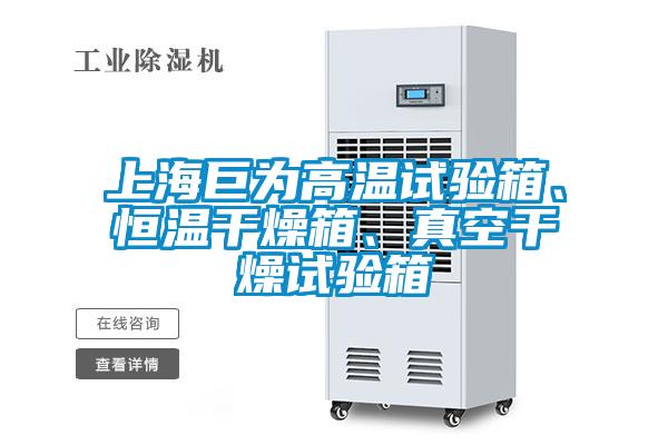 上海巨為高溫試驗箱、恒溫幹燥箱、真空幹燥試驗箱