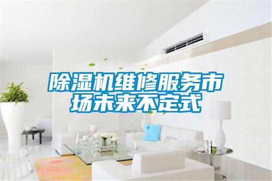 91看片在线下载機維修服務市場未來不定式
